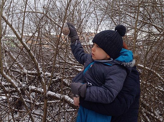 Gr. I Dokarmiamy Ptaki