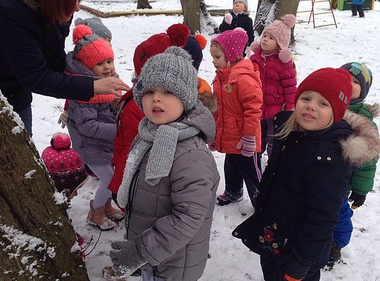 Gr. I Dokarmiamy Ptaki