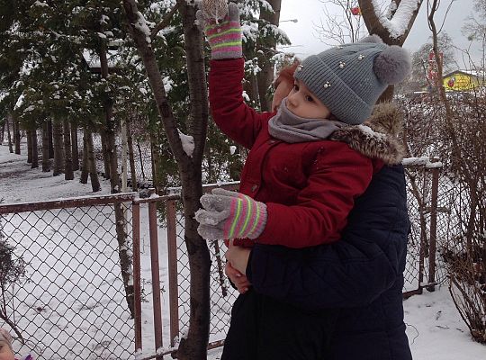 Gr. I Dokarmiamy Ptaki