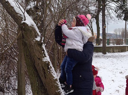 Gr. I Dokarmiamy Ptaki