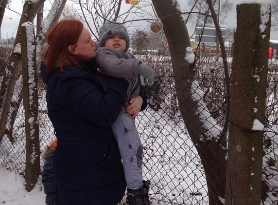 Gr. I Dokarmiamy Ptaki