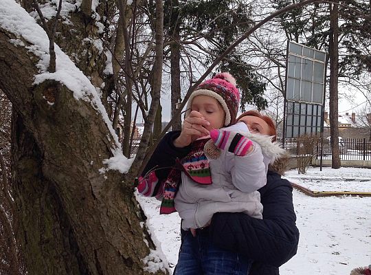 Gr. I Dokarmiamy Ptaki