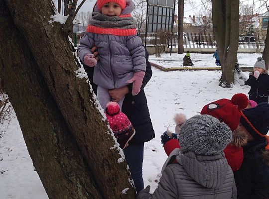 Gr. I Dokarmiamy Ptaki