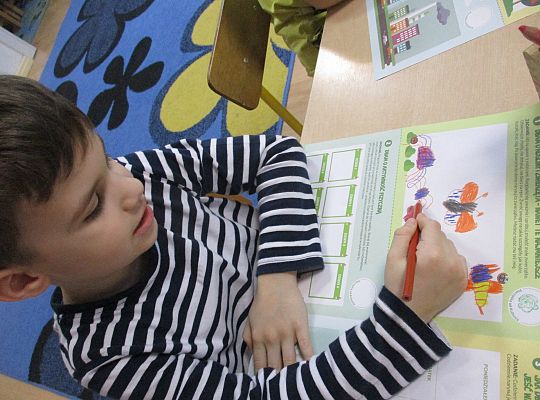 gr III Uczymy się razem z Kubusiem