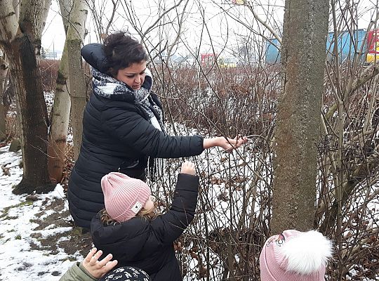 GR. II Dokarmiamy Ptaki