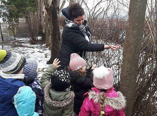 GR. II Dokarmiamy Ptaki