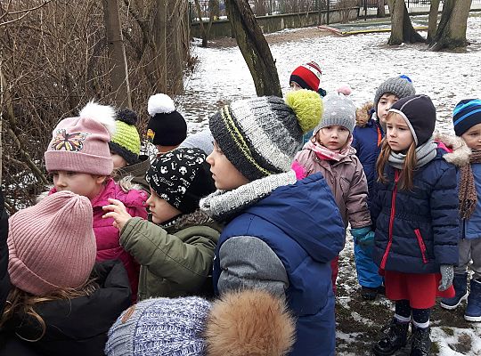 GR. II Dokarmiamy Ptaki