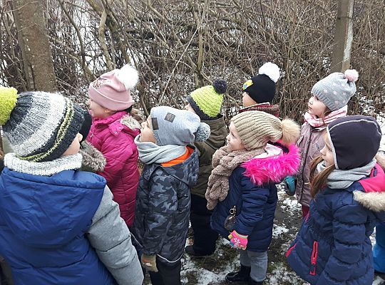 GR. II Dokarmiamy Ptaki