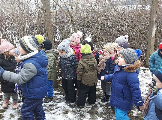 GR. II Dokarmiamy Ptaki