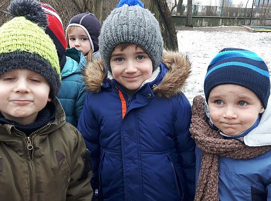 GR. II Dokarmiamy Ptaki