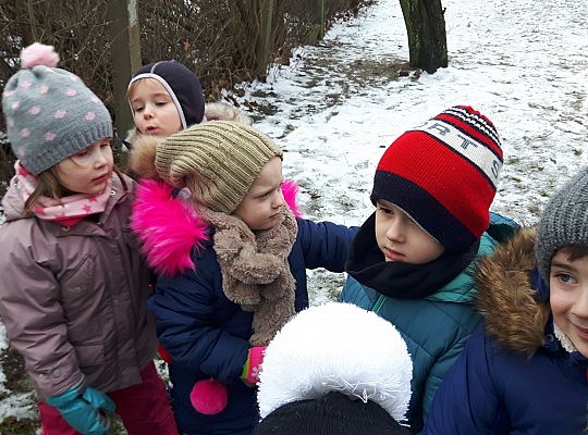 GR. II Dokarmiamy Ptaki