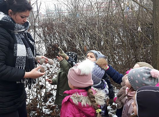 GR. II Dokarmiamy Ptaki