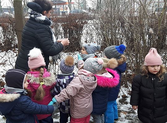 GR. II Dokarmiamy Ptaki