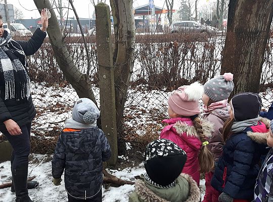 GR. II Dokarmiamy Ptaki