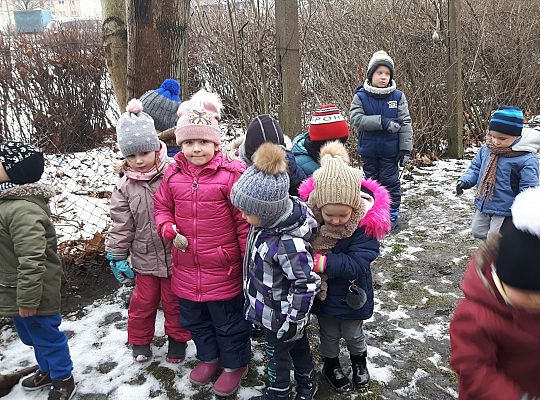 GR. II Dokarmiamy Ptaki