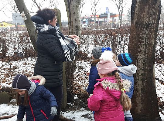 GR. II Dokarmiamy Ptaki