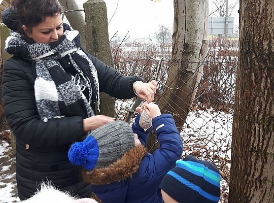 GR. II Dokarmiamy Ptaki