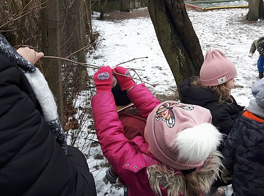 GR. II Dokarmiamy Ptaki