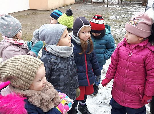 GR. II Dokarmiamy Ptaki