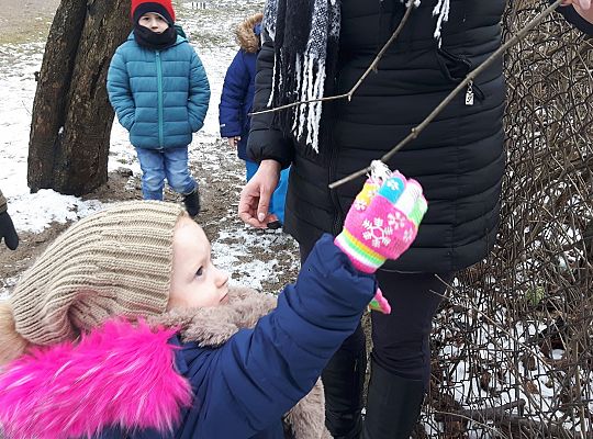 GR. II Dokarmiamy Ptaki