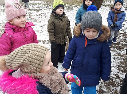 GR. II Dokarmiamy Ptaki