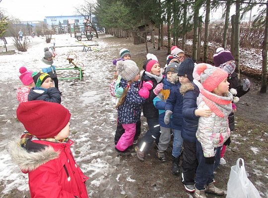 Gr III Dokarmiamy ptaki