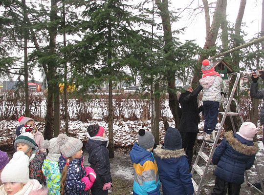 Gr III Dokarmiamy ptaki