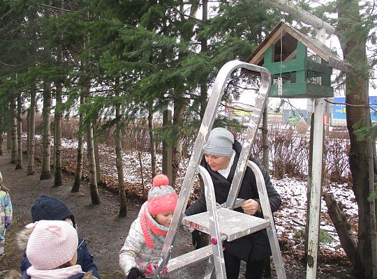 Gr III Dokarmiamy ptaki