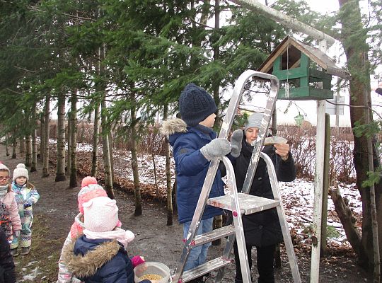 Gr III Dokarmiamy ptaki