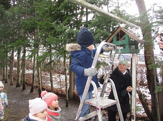 Gr III Dokarmiamy ptaki