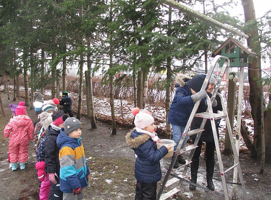 Gr III Dokarmiamy ptaki