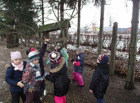 Gr III Dokarmiamy ptaki