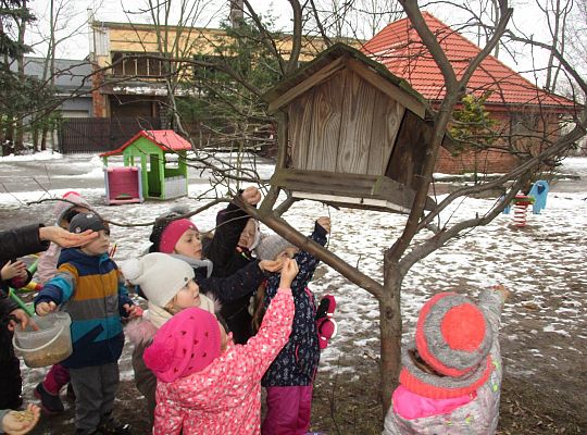 Gr III Dokarmiamy ptaki