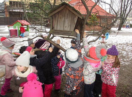 Gr III Dokarmiamy ptaki