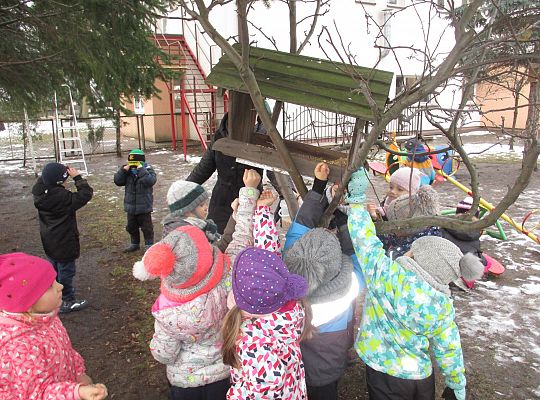 Gr III Dokarmiamy ptaki
