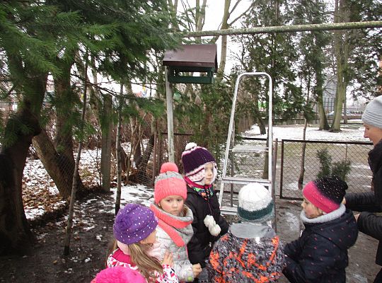 Gr III Dokarmiamy ptaki