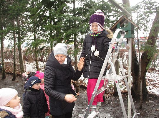 Gr III Dokarmiamy ptaki