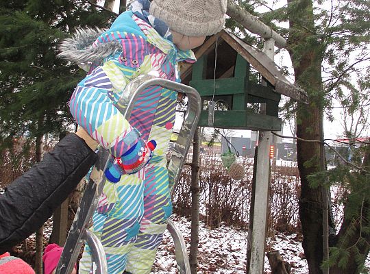 Gr III Dokarmiamy ptaki