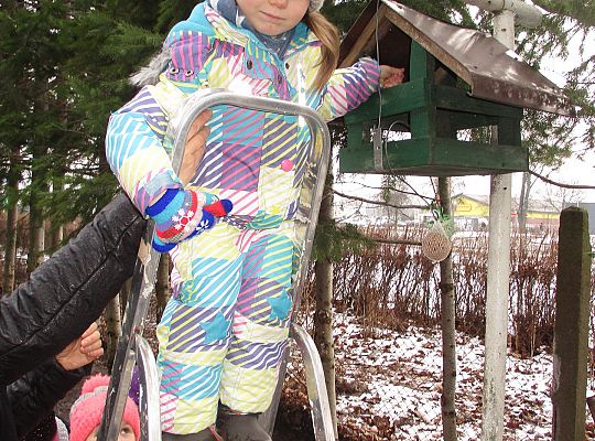 Gr III Dokarmiamy ptaki