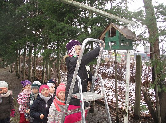 Gr III Dokarmiamy ptaki