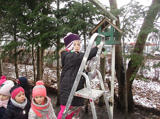 Gr III Dokarmiamy ptaki