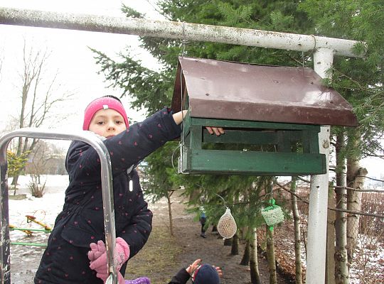 Gr III Dokarmiamy ptaki