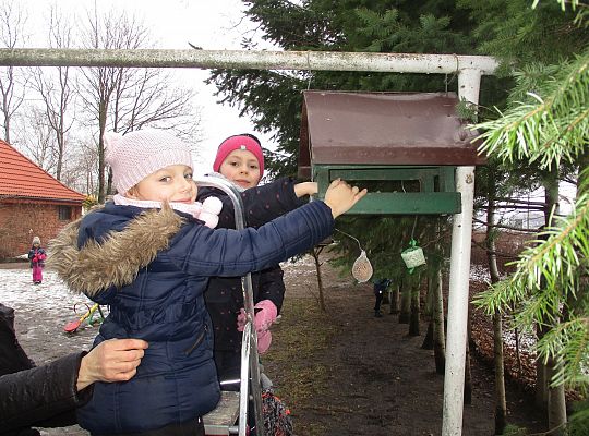 Gr III Dokarmiamy ptaki