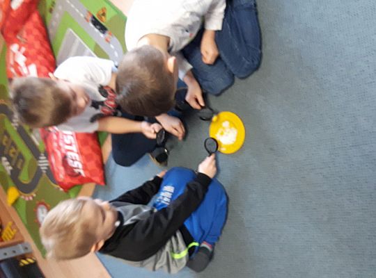 GR II Pilnie się uczymy