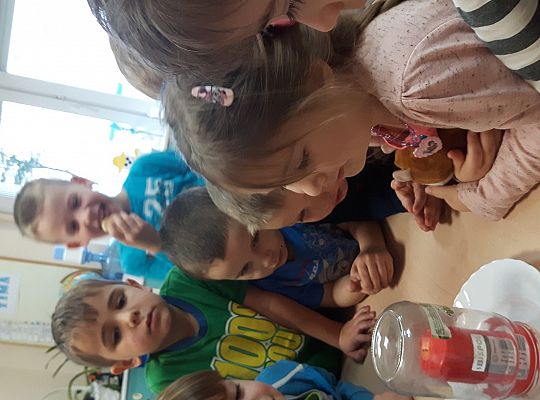 GR II Eksperymentujemy