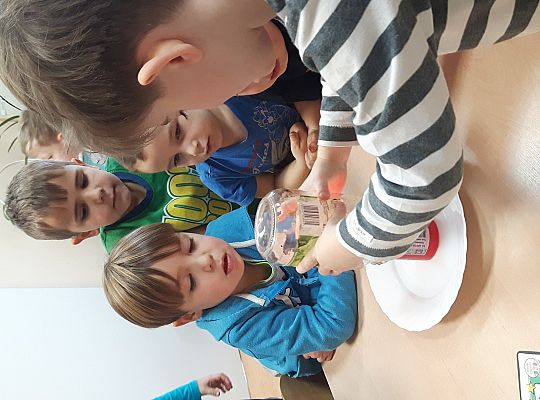 GR II Eksperymentujemy