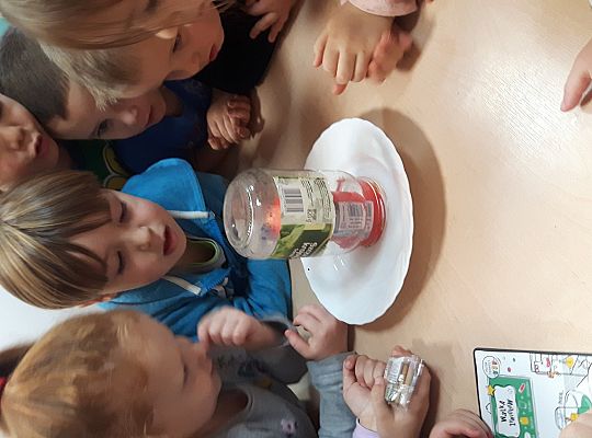 GR II Eksperymentujemy