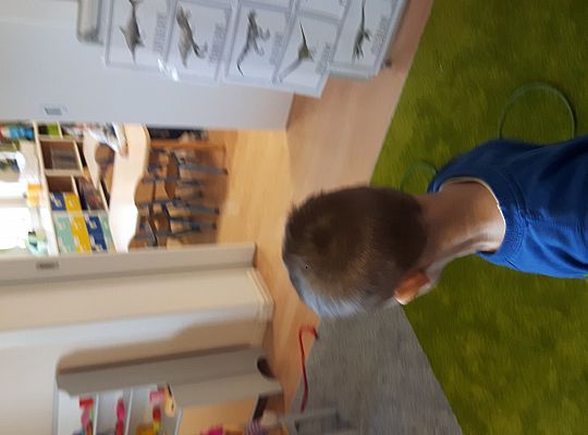 Gr II świat Dinozaurów