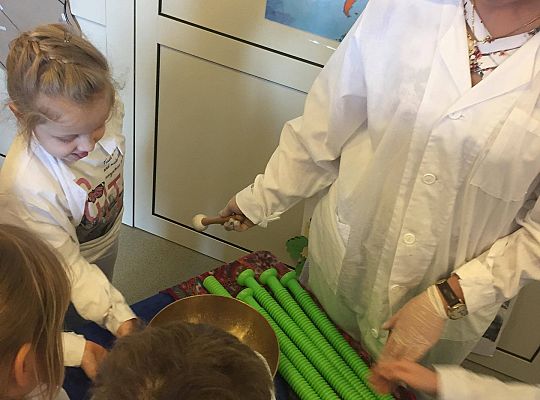 gr IV Z wizytą w "Michałkowie"-Szkoła w Mostach