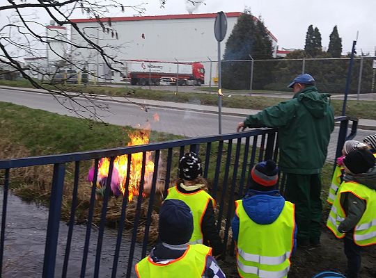 Gr II Żegnamy zimę, witamy wiosnę
